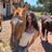 AntonellaCamp8