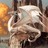 Astaroth66