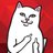 GatoTom_meow