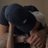 Kevin_Gon13