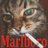 Lithium_Matthew
