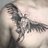 Marval_andrez