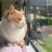 Maximus_jsh