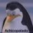 Tinaa11_