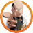 ZeroDestreza