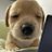 alysun_n