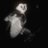 asky_Oo