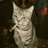 el_richo117