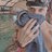 fede_debla