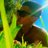 frangabriel13_