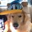 gomez_artu41719