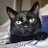 kevin_cdlm19