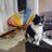 limon_000