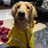 lina_raigo2267