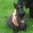 rob_glza