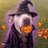 rocko_basilisk